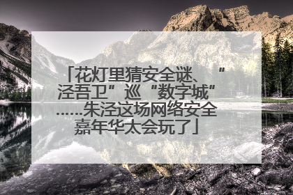 花灯里猜安全谜、“泾吾卫”巡“数字城”……朱泾这场网络安全嘉年华太会玩了